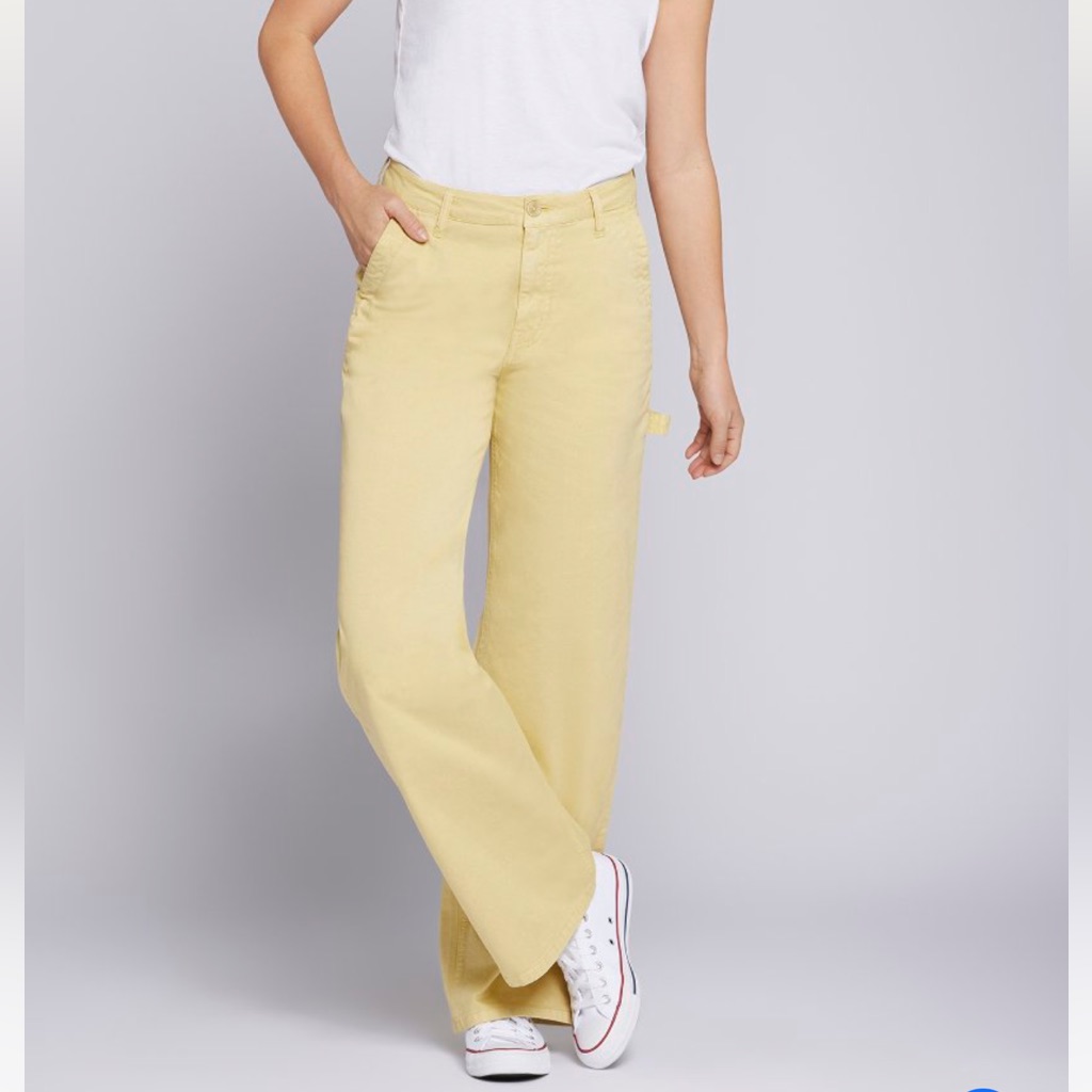 Current / Elliott The Painter Wide Leg Pants